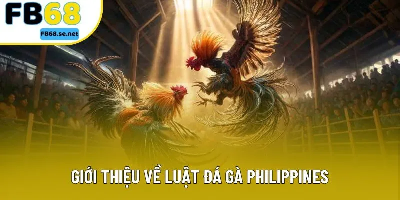 Giới thiệu về luật đá gà Philippines Giới thiệu về luật đá gà Philippines